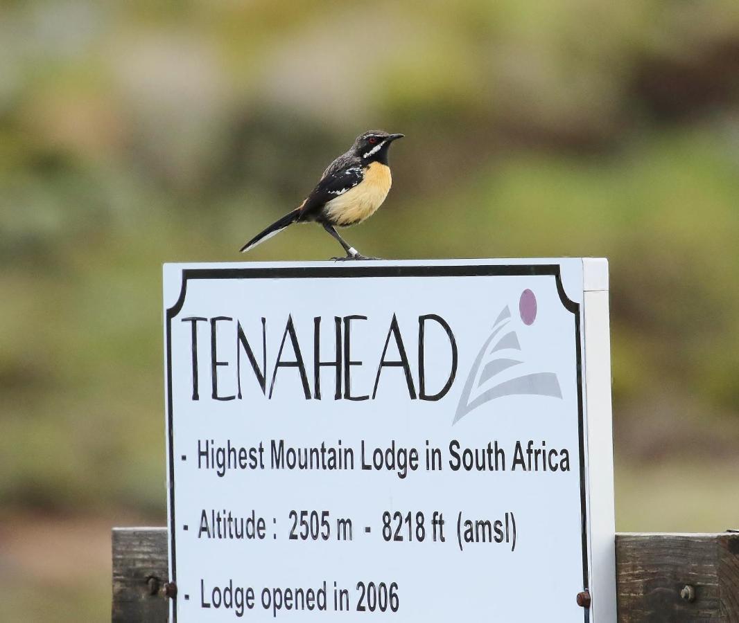 Tenahead Lodge & Spa Rhodes Exterior photo